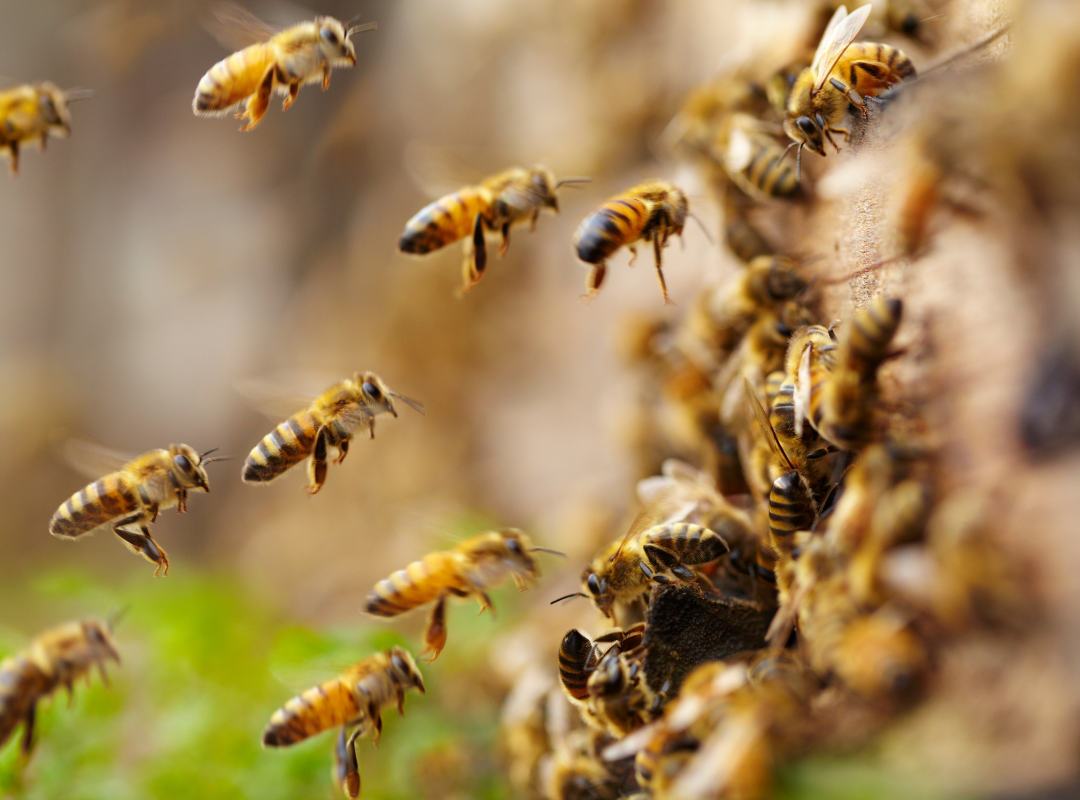 alt="team working together analogy"