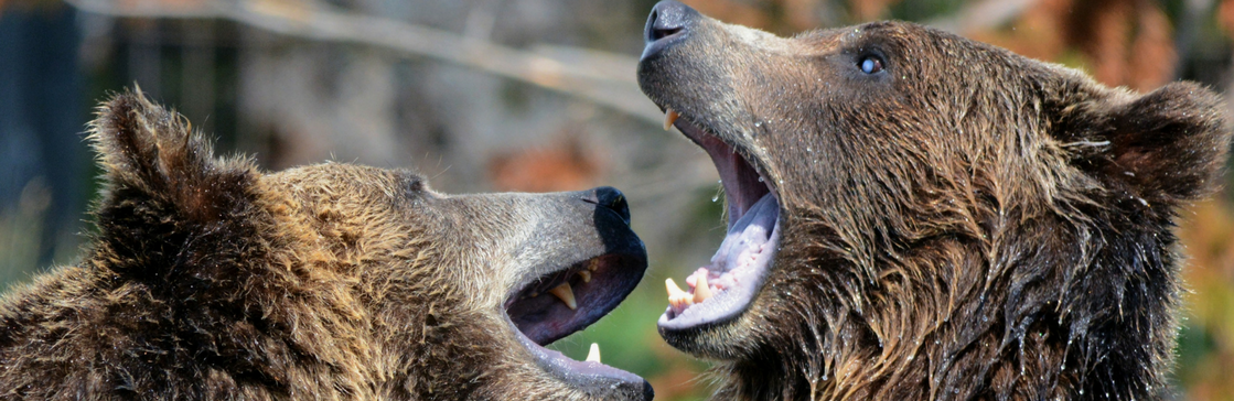 Managing conflict in the workplace