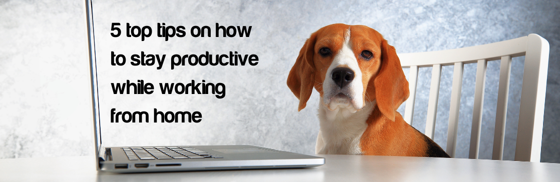 Dakota Blue Consulting :: 5 top tips on how to stay productive while working from home
