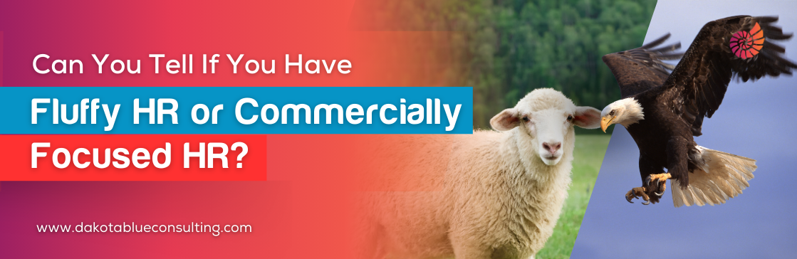 Can You Tell If You Have Fluffy HR or Commercially Focused HR