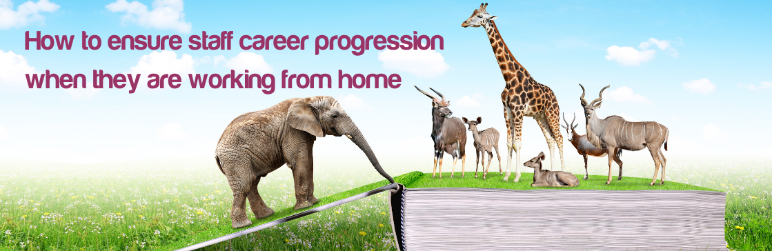 Dakota Blue Consulting :: How to ensure staff career progression when they are working from home